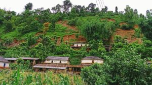 बागलुङमा बाढी पहिरो १३ घर बिस्थापित