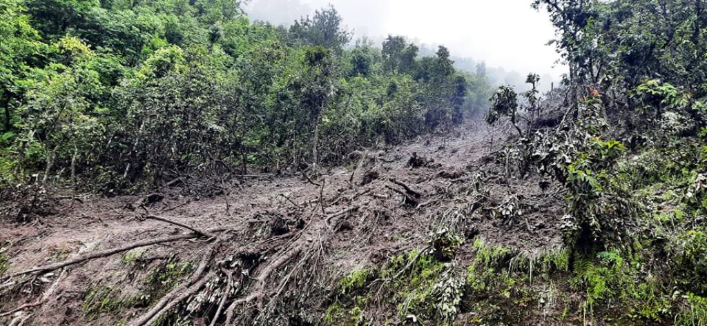 ढोरपाटन ३ पुर्कोट क्षेत्रमा आएको बाढि पहिरोको वडा अध्यक्ष घर्तिसहितको टोलिद्धारा अनुगमन