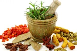 आयुर्वेदिक चिकित्साप्रति सरकारी बेवास्ता