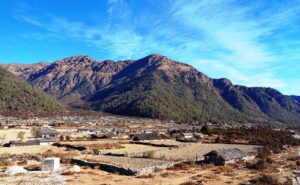 ढोरपाटन सिकार आरक्षमा पर्यटन आगमन शुल्क वापत २० लाख राजश्य उठ्यो