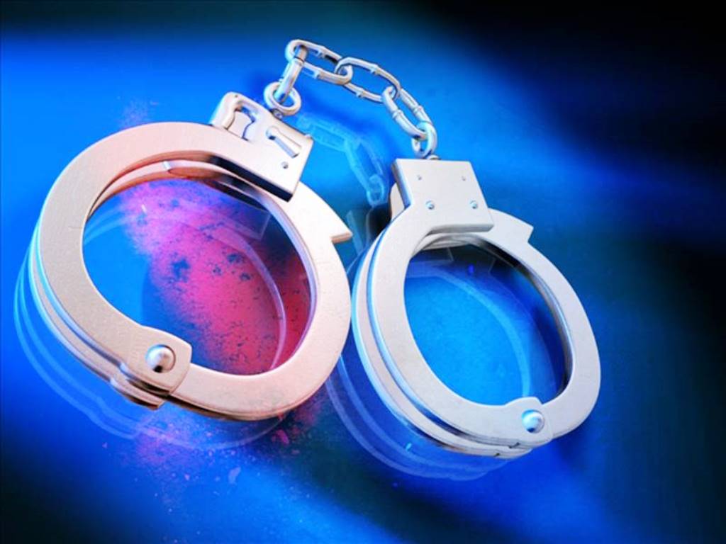 नक्कली इन्सपेक्टर बनी ठगी गर्ने व्यक्तिहरु पक्राउ