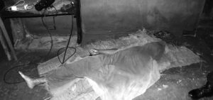 बाग्लुङको  बडिगाडमा करेन्ट लागेर २१ वर्षीय युवकको मृत्यु
