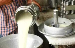 बिचौलियाको मार छल्न बजार खोज्दै बागलुङका दुध किसान