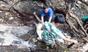 पहिरोसँगै खसेको ढुङ्गाले लागेर राेल्पामा आमा–छाेरीको ज्यान गयो