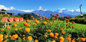तिहारका सदाबहार गीतमा चलचित्रकै वर्चस्व
