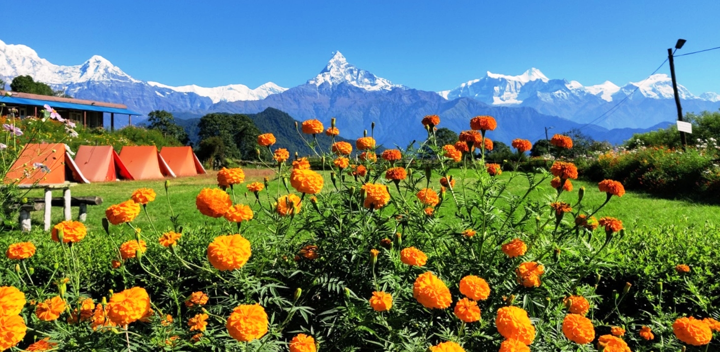 तिहारका सदाबहार गीतमा चलचित्रकै वर्चस्व