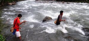 दरमखोलामा पाईने असला माछाको माग सगैँ मूल्य बढ्यो, विदेशमा पुगेकालाई कोसेली नै माछा