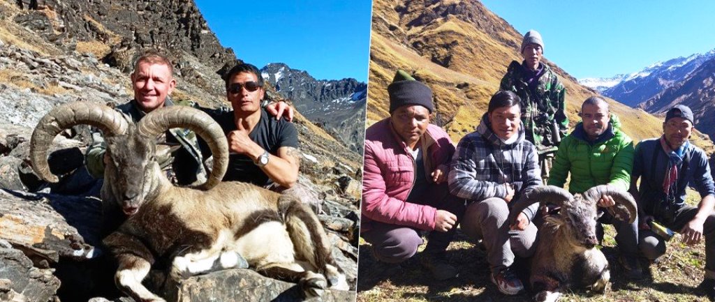 बर्षको पहिलो सिजनमा ढोरपाटन शिकार आरक्षको विभिन्न ब्लकमा नौ नाउर र तीन झारलको शिकार