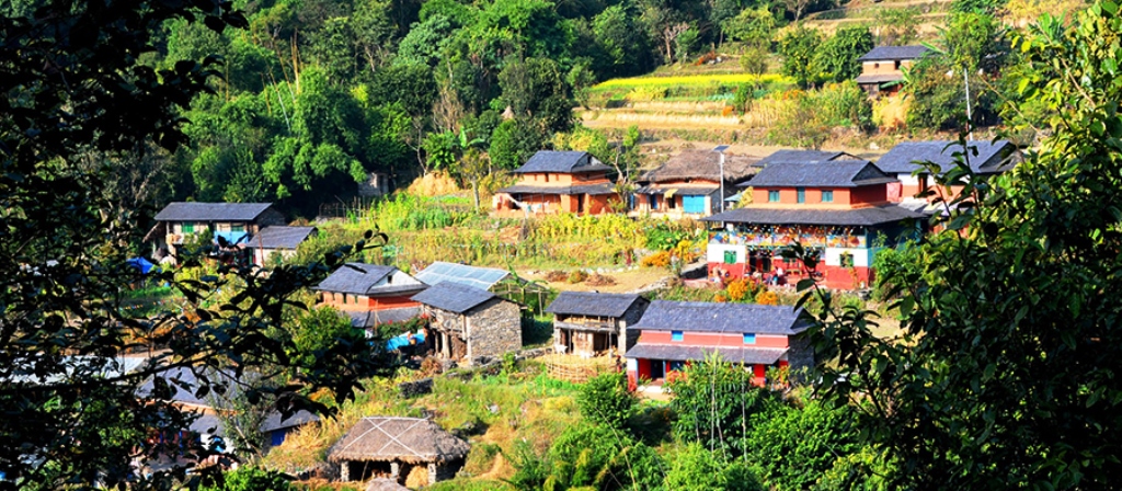 कोरोना महामारीले थला पर्‍यो होमस्टे, बागलुङका घरबास सञ्चालकले गरे पेशा नै परिवर्तन