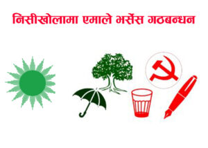 बागलुङको निसीखोला गाउँपालिकामा काँग्रेसका सुर्यबहादुर विजयी