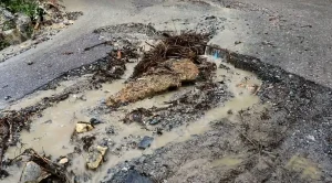 भताभुङ्ग मध्यपहाडी