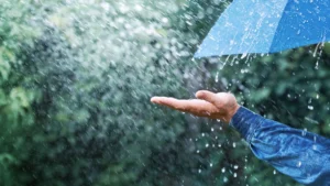 आज यी क्षेत्रहरुमा वर्षाको सम्भावना