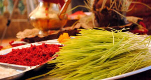 दशैंको टिकाका दिन पोखराका ७ रुटमा निःशुल्क बस सेवा सञ्चालन हुने