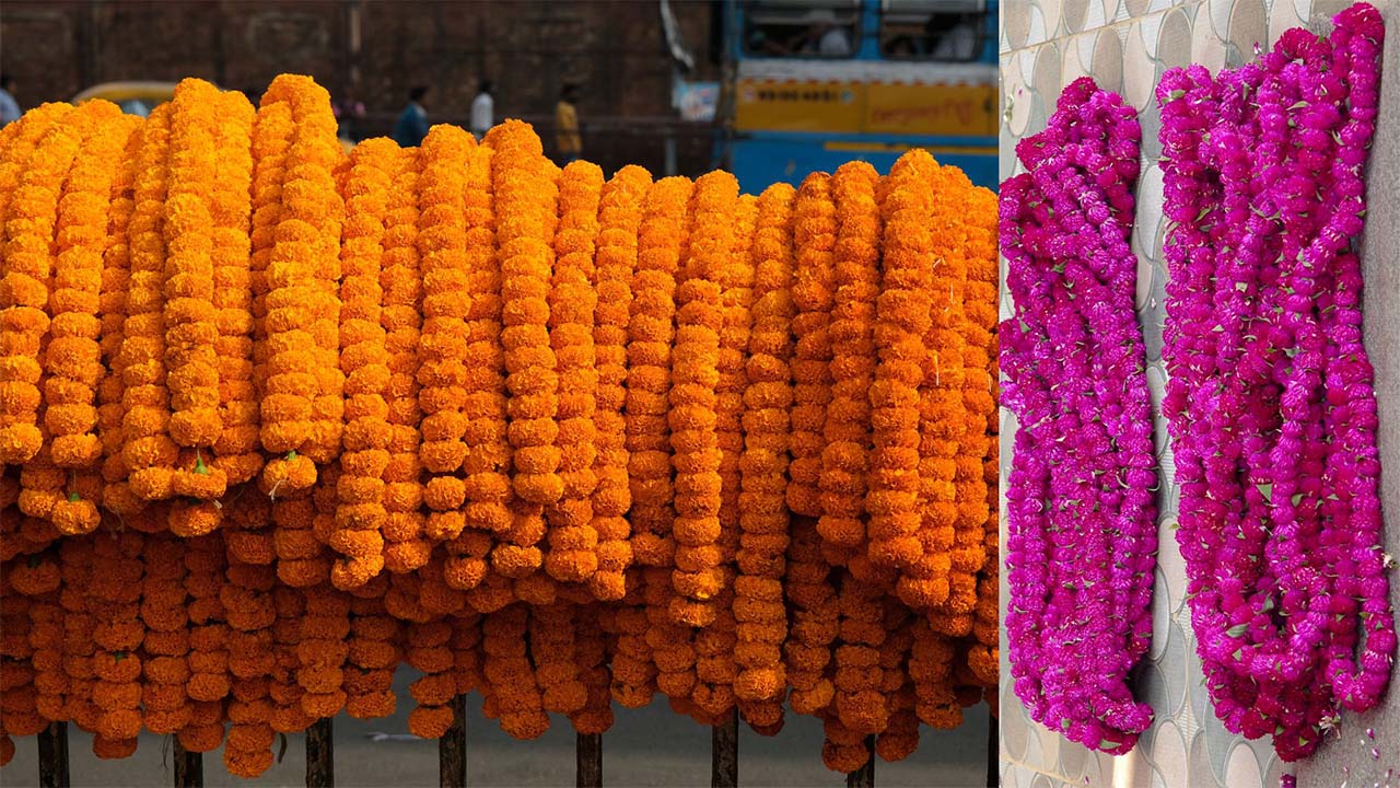काठमाडौँ महानगर क्षेत्रभित्र तिहारमा प्लास्टिकका फूल बेचे कारबाही हुने