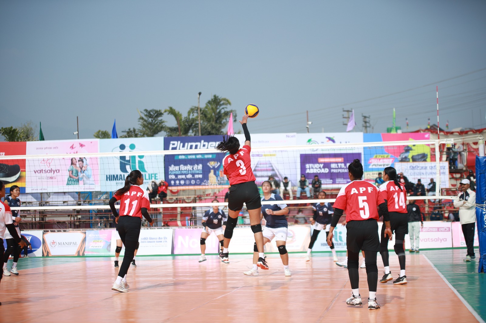 टाइगर कप भलिबलः अपराजित रहँदै एपिएफ पहिलो क्वालिफायरमा