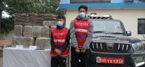 स्कारपियोबाट २० लाख रुपैयाँ बराबरको १ सय ५५ केजी गाँजासहित दुई जना पक्राउ