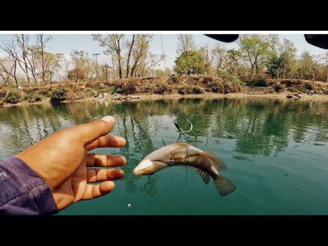 माछालाई दाना दिने क्रममा मुस्ताङस्थित माछापोखरीमा डुबेर एक व्यक्तिको मृत्यु