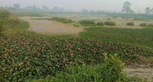 आज विश्व सिमसार दिवस मनाइँदै
