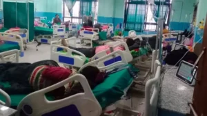 बारीमा उम्रिएको च्याउ खाँदा तनहुँमा एकैघरका १० जना बिरामी