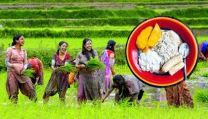 असार १५ : आज राष्ट्रिय धान दिवस मनाइँदै