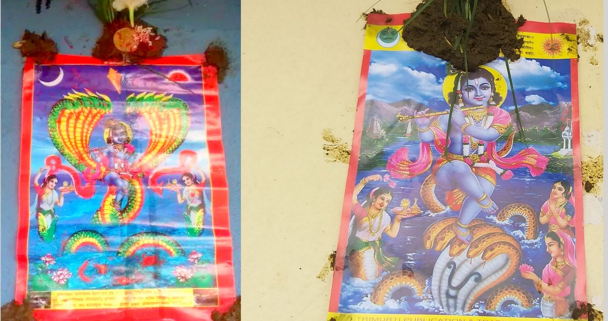 आज नागपञ्चमी पर्व नागको पूजाअर्चना गरि मनाइँदै
