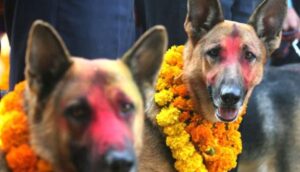 तिहारको तेस्रो दिन आज कुकुर तिहार पर्व मनाइँदै