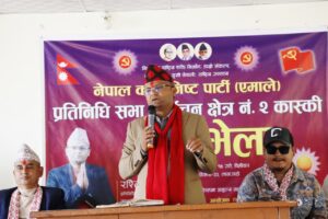 जन्मठाउँ भरतपोखरीबाट एमाले उम्मेदवार रश्मि आचार्यको सम्पत्ति विवरण सार्वजनिक