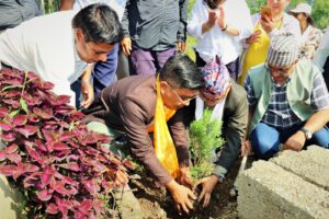 विश्व वातावरण दिवसमा पोखरामा वृक्षारोपण