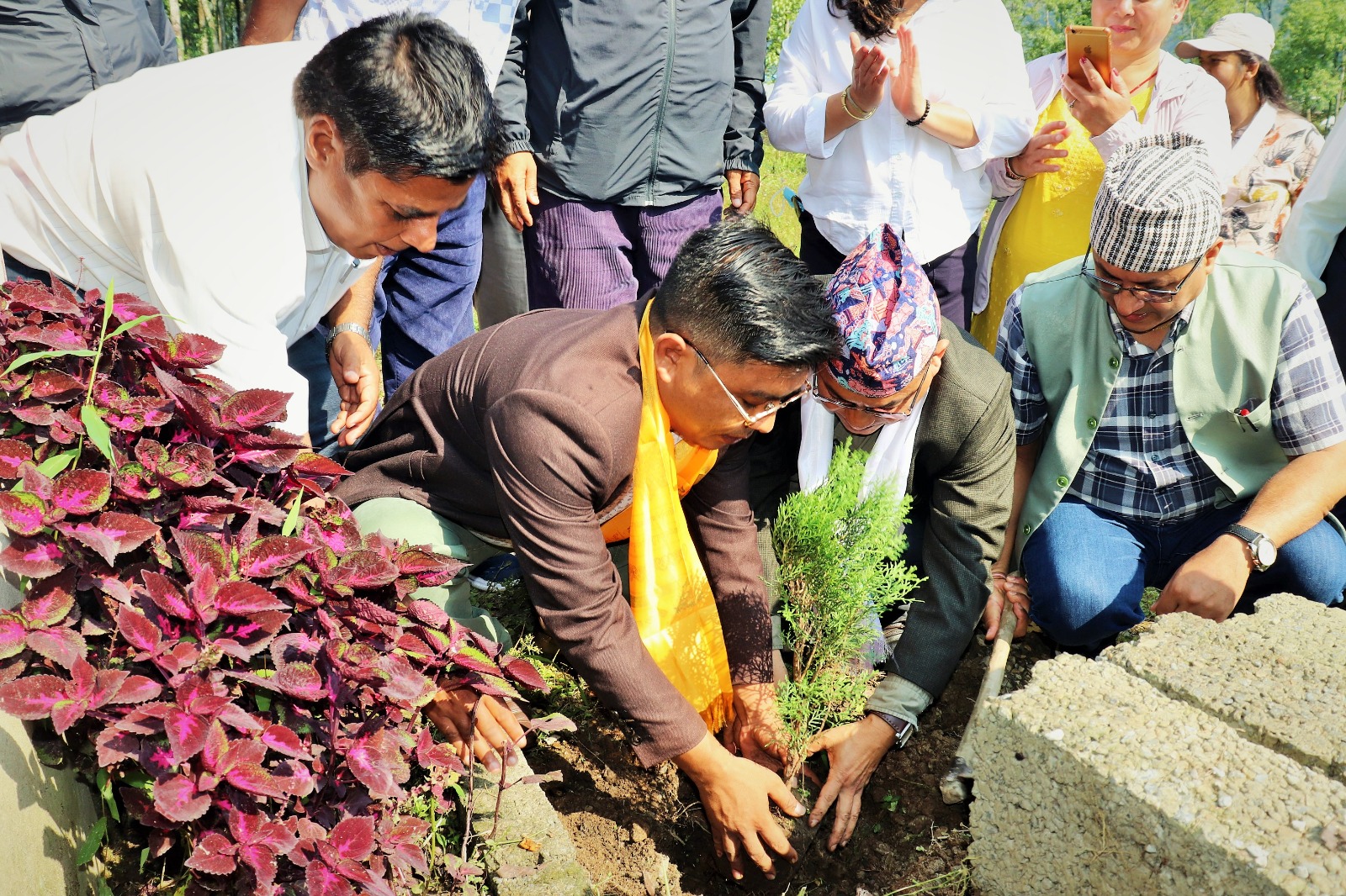 विश्व वातावरण दिवसमा पोखरामा वृक्षारोपण